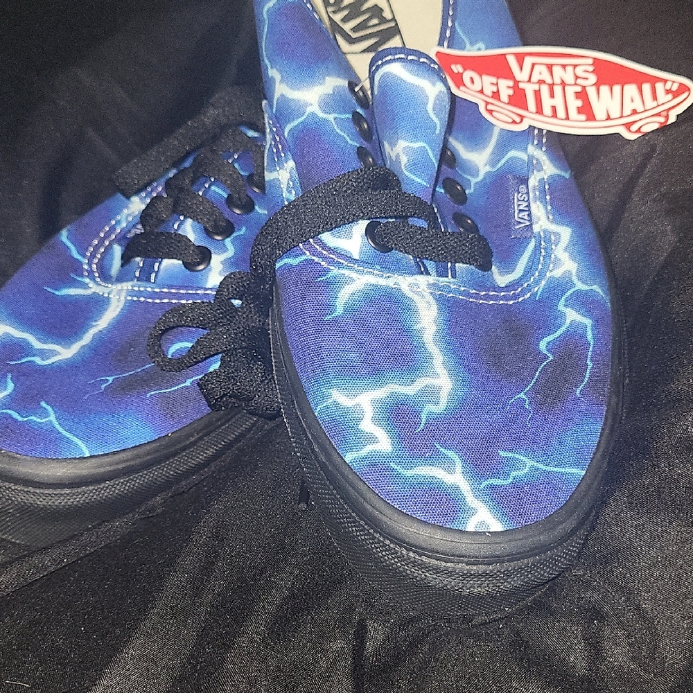 Vans Men Electric Blue Sneakers